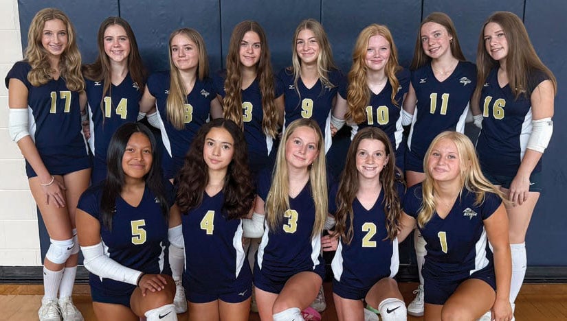 9th grade b team volleyball chanhassen storm