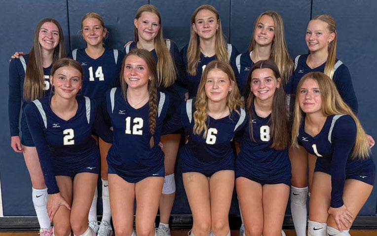 9th grade a team volleyball chanhassen storm